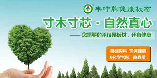 十大板材品牌豐葉品質(zhì):寸木寸芯 自然真心 十大板材品牌豐葉品質(zhì):寸木寸芯 自然真心