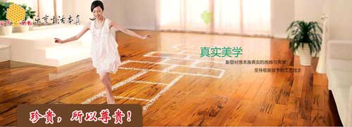 綠色健康守護者:“安信清醛360”實木多層地板 綠色健康守護者:“安信清醛360”實木多層地板