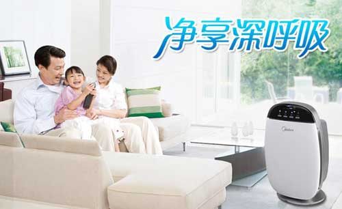 2016年Q1空氣凈化器十大品牌銷售量數(shù)據(jù)榜 2016年Q1空氣凈化器十大品牌銷售量數(shù)據(jù)榜