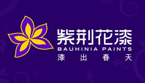 2016第十屆中國品牌價值500強之涂料品牌