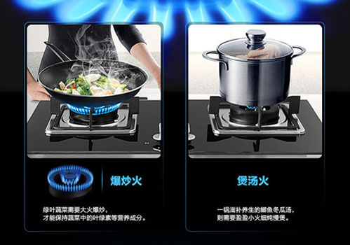 方太燃氣灶(天然氣)JZT-FD21BE