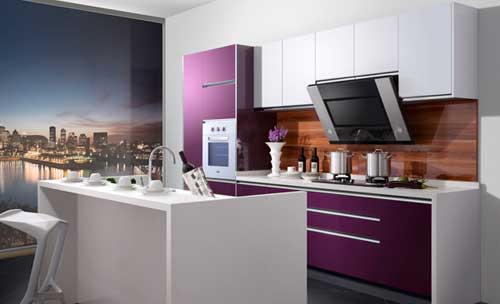 屬于世界500強企業(yè)的著名廚衛(wèi)電器品牌有哪些?