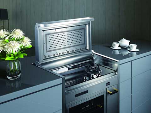 從中國廚衛電器十大品牌中解讀行業的未來趨勢