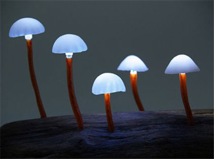 品牌燈飾立足科技之上 創新引領品質生活 品牌燈飾立足科技之上 創新引領品質生活