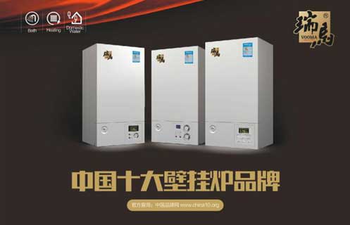 轟動全城：瑞馬引領壁掛爐行業 踏入央視品牌時代