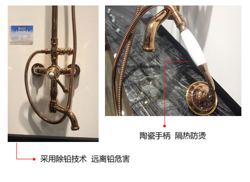 產品測評:賽唯雅(SAVOIA)大淋浴花灑SF813309 產品測評:賽唯雅(SAVOIA)大淋浴花灑SF813309