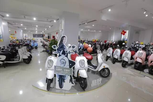 分析:2016年是中國電動車行業的分水嶺 分析:2016年是中國電動車行業的分水嶺