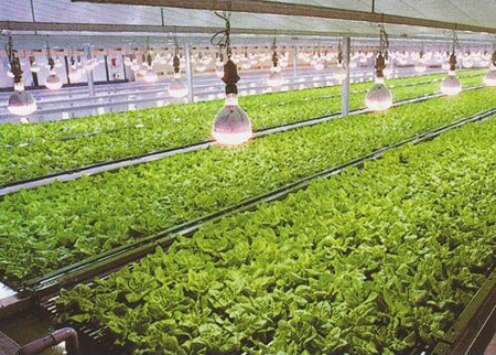 盤點出十大LED照明行業主要應用領域 盤點出十大LED照明行業主要應用領域