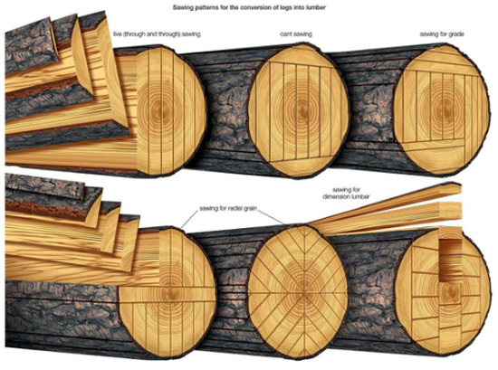 安信為你揭秘為何實(shí)木復(fù)合地板一直堅(jiān)持鋸切