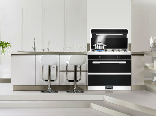 十大集成灶品牌把好終端“脈絡” 印證行業霸主地位！