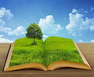 建造環保可持續發展的板材企業將是大勢所趨 建造環保可持續發展的板材企業將是大勢所趨