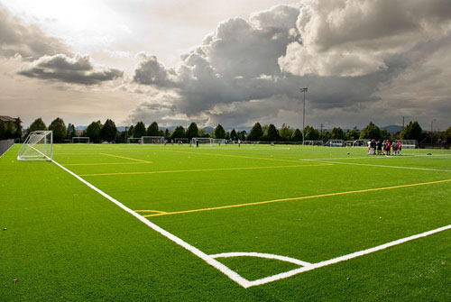 我們?yōu)槭裁葱枰斯げ萜?人工草坪有什么特點? 我們?yōu)槭裁葱枰斯げ萜?人工草坪有什么特點?