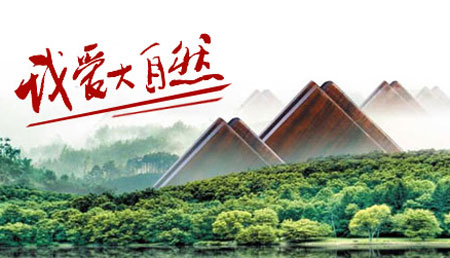 2017-2018年中國十大實木地板品牌排行榜