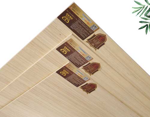 互聯網趨勢下 生態板企業打破固有思維謀發展