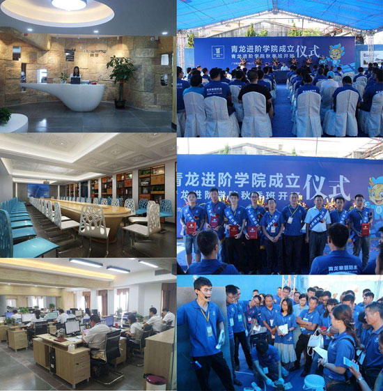 【重磅來襲】細(xì)數(shù)2017年青龍建材十大新聞! 【重磅來襲】細(xì)數(shù)2017年青龍建材十大新聞!