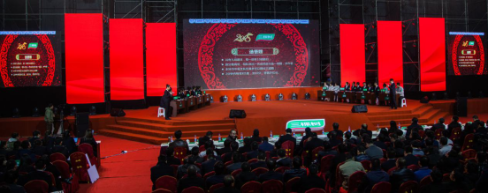 全體三棵樹人的文化盛宴,三棵樹年會隆重召開! 全體三棵樹人的文化盛宴,三棵樹年會隆重召開!