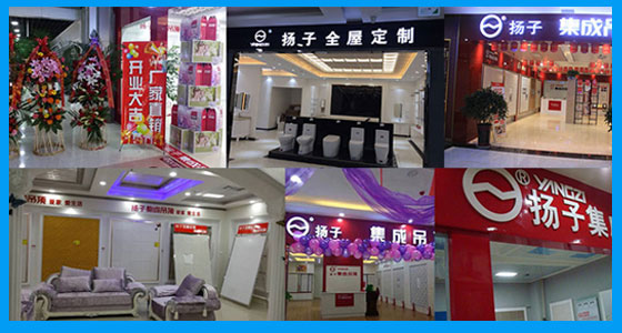 背靠大樹好乘涼 揚子中國吊頂行業領導者