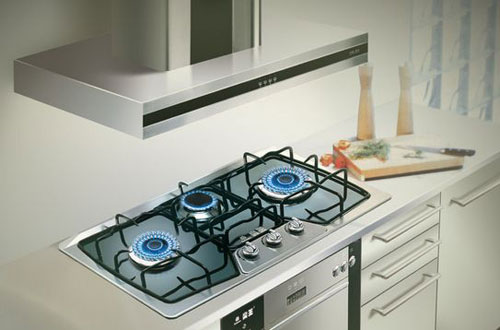 清楚大環境情況 灶具企業結合實力打開局面 清楚大環境情況 灶具企業結合實力打開局面