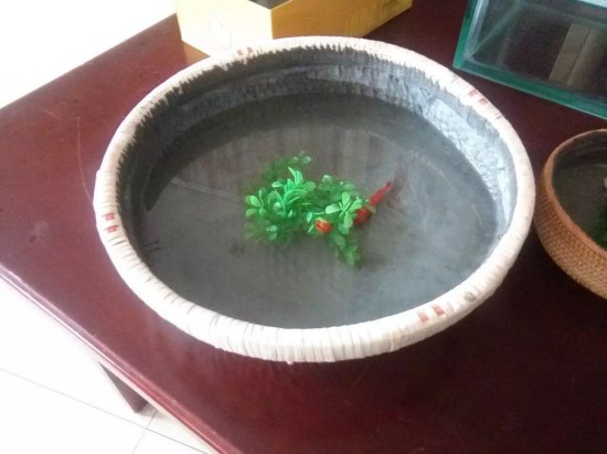 防水博士“博士標準”選材與施工分享會盛大舉行 防水博士“博士標準”選材與施工分享會盛大舉行