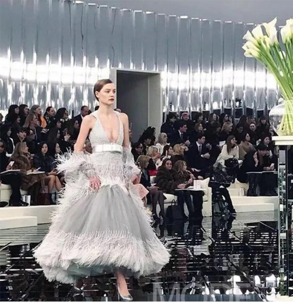 羽毛,賦予奢華壁紙獨一無二的靈氣 羽毛,賦予奢華壁紙獨一無二的靈氣