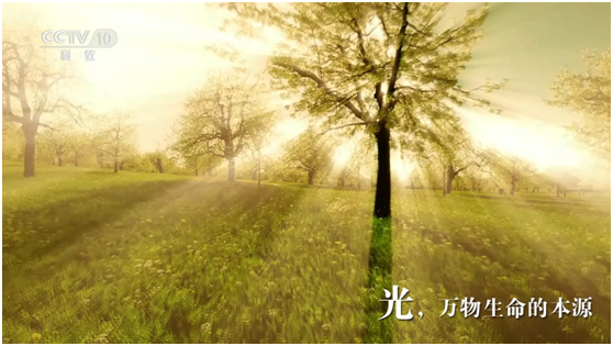 照明品牌登陸央視展播 “天下無人不識澳克士” 照明品牌登陸央視展播 “天下無人不識澳克士”