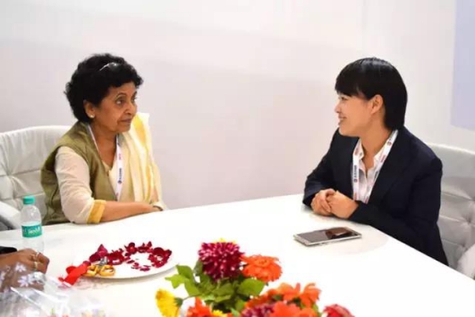 電工品牌大事記|正泰亮相印度電力、可再生能源及自動化展覽會