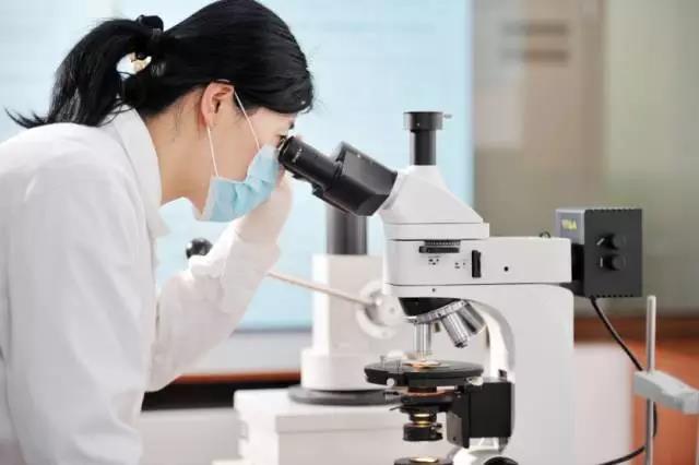 鵬鴻實力再獲肯定，蟬聯木業網2017年度“生態板十大品牌”