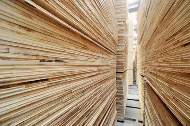 鵬鴻實力再獲肯定，蟬聯木業網2017年度“生態板十大品牌”