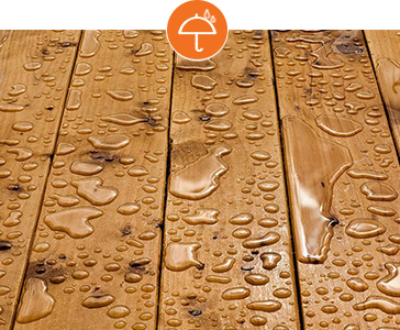 2018圣普麗斯防水地板堅(jiān)守本心、繼續(xù)前行