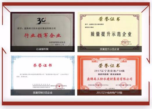防水材料品牌榮譽|禹王集團榮獲中國建材企業200強等 防水材料品牌榮譽|禹王集團榮獲中國建材企業200強等