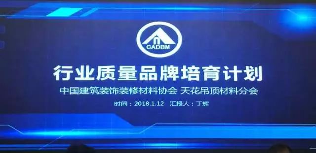 吊頂品牌榮譽|名族獲集成吊頂行業十大領軍品牌等多項大獎