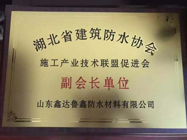 品牌大事|魯鑫防水參加2017湖北省建筑防水行業質量提升工作會議 品牌大事|魯鑫防水參加2017湖北省建筑防水行業質量提升工作會議