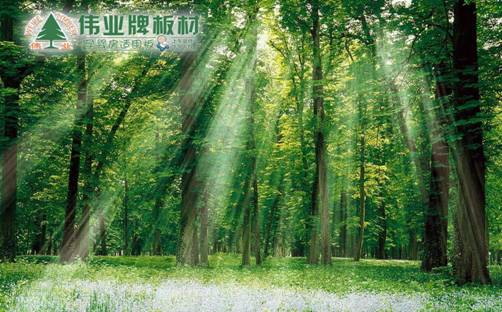 品牌產(chǎn)品|E0級不含甲醛的偉業(yè)牌生態(tài)板讓你安享家居生活