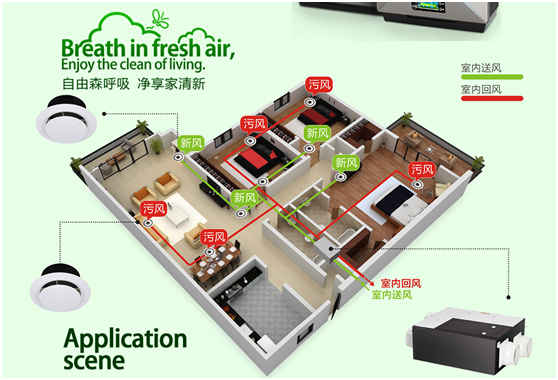 FED新風 許你繁華似錦的前程 FED新風 許你繁華似錦的前程