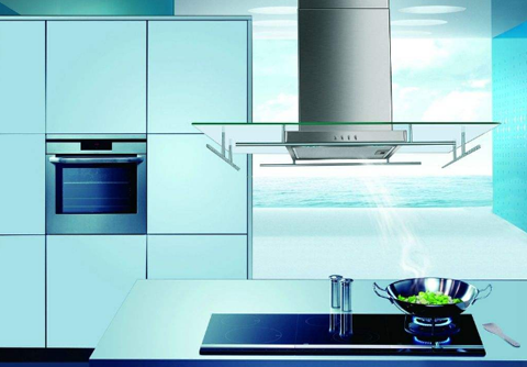 消費(fèi)結(jié)構(gòu)多元化發(fā)展 廚衛(wèi)企業(yè)抓住消費(fèi)熱點(diǎn)加強(qiáng)創(chuàng)新 消費(fèi)結(jié)構(gòu)多元化發(fā)展 廚衛(wèi)企業(yè)抓住消費(fèi)熱點(diǎn)加強(qiáng)創(chuàng)新