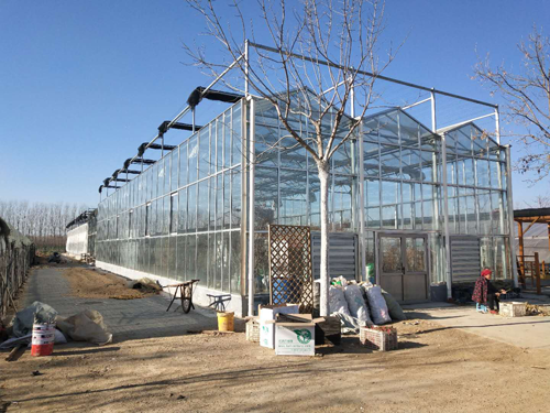 品牌案例|利普曼空氣能之農(nóng)業(yè)園花卉基地“煤改空氣源” 品牌案例|利普曼空氣能之農(nóng)業(yè)園花卉基地“煤改空氣源”