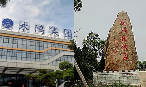 品牌大事|中銳梅開二度勢如破竹，福州廈門連開大單