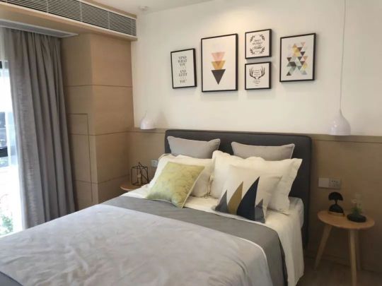 品牌大事|意大利TASSANI塔薩尼中標大型藝術漆工程項目 品牌大事|意大利TASSANI塔薩尼中標大型藝術漆工程項目