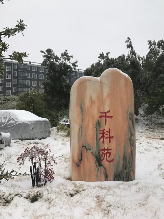 千科潘遠宏：智能產(chǎn)品、智慧營銷一手抓，智能終端是品牌最后浪潮