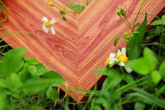 品牌發(fā)展|低調(diào)：這家涂企連續(xù)兩年業(yè)績(jī)?cè)鲩L(zhǎng)100%!