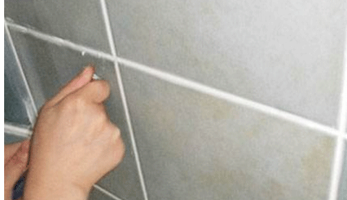 美特朗美縫劑實力領先,值得創業者去選擇 美特朗美縫劑實力領先,值得創業者去選擇