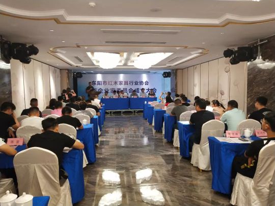 品牌榮譽|雙洋紅木董事長王海洋榮升東陽市青年企業家委員會主任 品牌榮譽|雙洋紅木董事長王海洋榮升東陽市青年企業家委員會主任