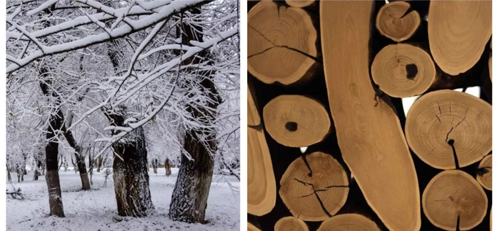 兔寶寶“黑科技”—抗龜裂生態板，了解一下