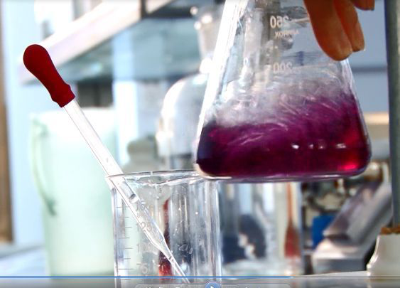 為何一大批外資涂料企業選購這家原材料？