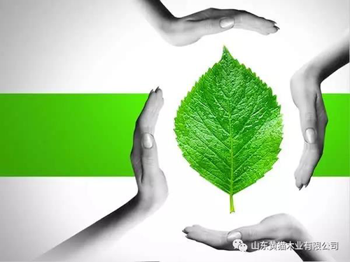 品牌產品|綠色家裝的最佳伴侶——黃貓板材 品牌產品|綠色家裝的最佳伴侶——黃貓板材