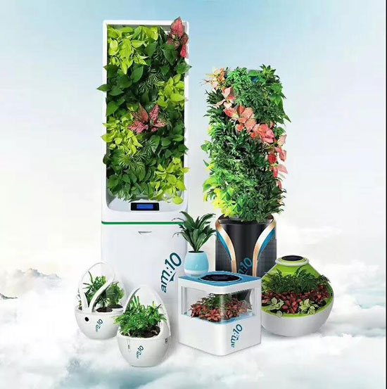 品牌人物|居薛宏:將“微森林”引進(jìn)家庭 做空氣“清道夫” 品牌人物|居薛宏:將“微森林”引進(jìn)家庭 做空氣“清道夫”