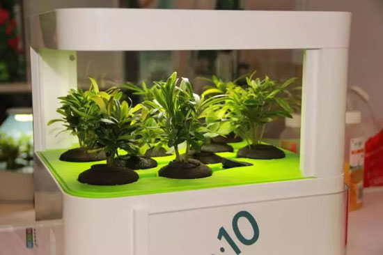 品牌人物|居薛宏:將“微森林”引進(jìn)家庭 做空氣“清道夫” 品牌人物|居薛宏:將“微森林”引進(jìn)家庭 做空氣“清道夫”