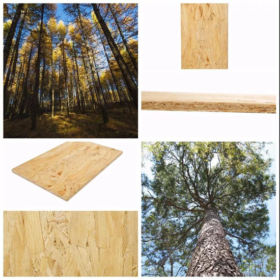 趁勝追擊!萬象品牌二代家具板材馭世駕臨 趁勝追擊!萬象品牌二代家具板材馭世駕臨