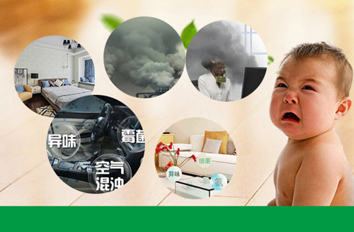 室內污染真的這么可怕!讓涂蘭朵來拯救你!