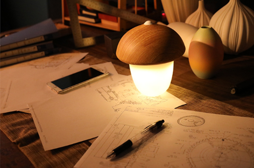 網(wǎng)絡(luò)時(shí)代,中國十大家居照明品牌該怎么秀出自我? 網(wǎng)絡(luò)時(shí)代,中國十大家居照明品牌該怎么秀出自我?